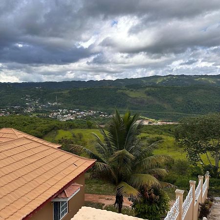 Lion'S View Bed & Breakfast Mandeville Exteriér fotografie