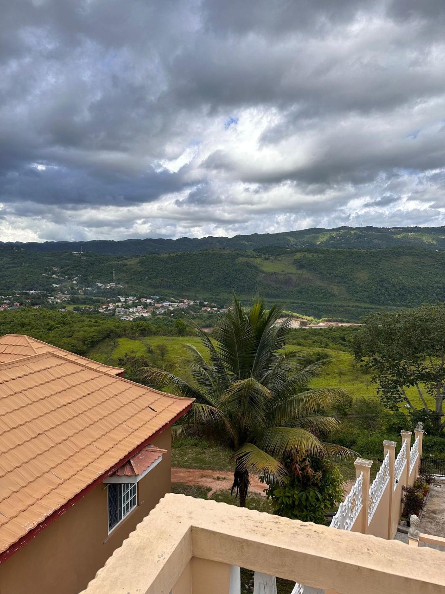 Lion'S View Bed & Breakfast Mandeville Exteriér fotografie