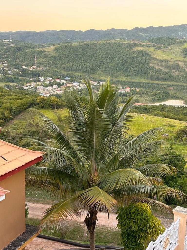 Lion'S View Bed & Breakfast Mandeville Exteriér fotografie